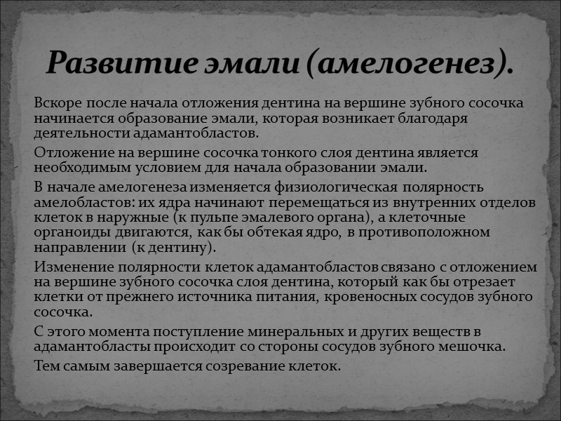 Вскоре после начала отложения дентина на вершине зубного сосочка начинается образование эмали, которая возникает